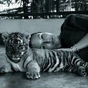 Melissa Giacchetti's photo