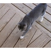 Connie Hanlon's photo