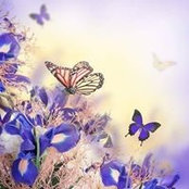 Jamie Pollard's photo