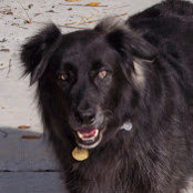 Gail Sweet's photo