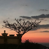 Foto von harley101