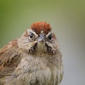 Jerry Ting's photo