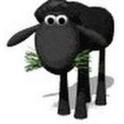Terrill Lambs billede