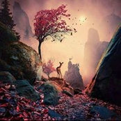 Nesma Salah's photo
