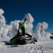 Scott Paine's photo
