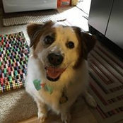 Gail Locko's photo