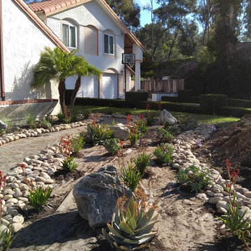 Drought tolerant and native friendly