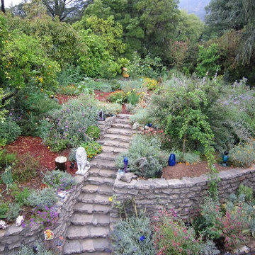 Water harvesting xer