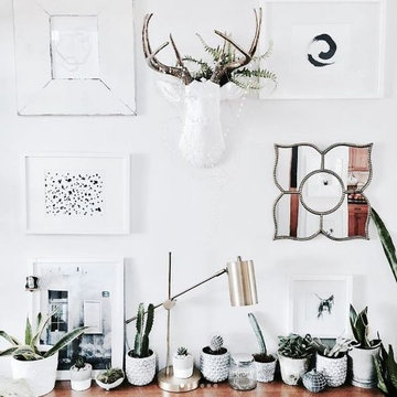 Entryway with White Faux Taxidermy