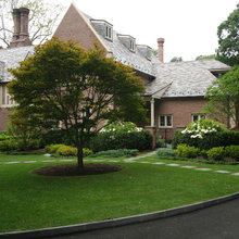 Landscape Ideas
