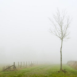 Landscapes - Artwork