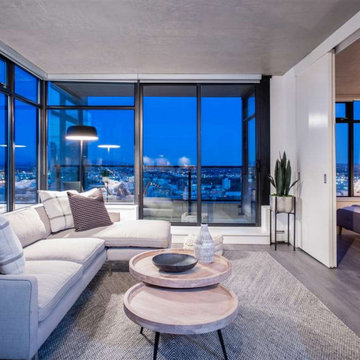 Living Room - Contemporary