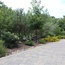 Serene Privacy Landscaping