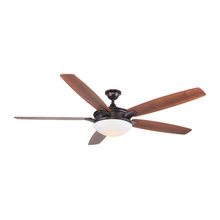 Celing Fan