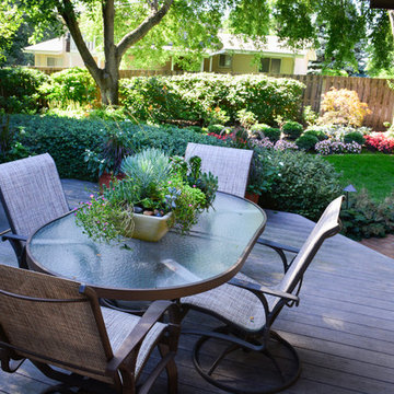 Shady Backyard Retreat