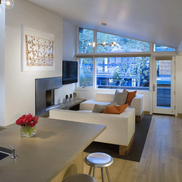 Aspen Condo Remodel