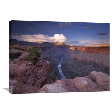 "Colorado River-Toroweap Overlook, Grand Canyon National Park, Arizona" Artwork