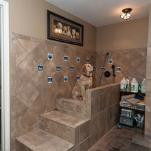 Dog washing station