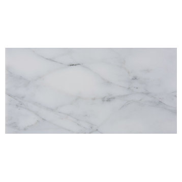 12"x24" Italian Carrara Venato Tile Polished and Beveled