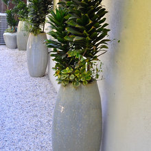 Side Garden