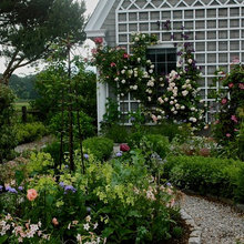 Wall Trellis