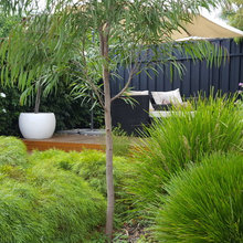 Bushmead garden