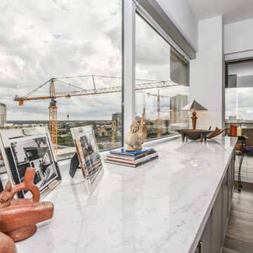 1980s Hi-Rise Condo Goes Mid Century Modern in Houston's Museum District