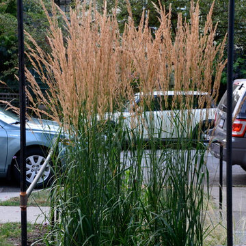 Garden Drive Front Yard