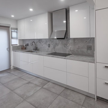 LA JOLLA MODERN KITCHEN DESIGN