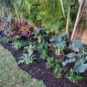 Miami Shores Landscape Design