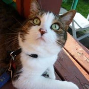 Ginette Potvin's photo