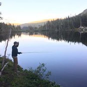 Ben Arwood-Levine's photo
