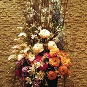 Verna Lambert's photo
