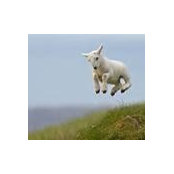 Ingrid Clark's photo