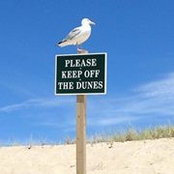 Catherine Laplante's photo
