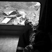 Denis Kostitsyn's photo