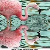 Karen Troyan's photo