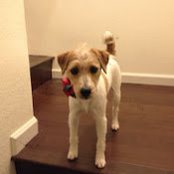Maxine Ruiz's photo