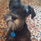 Joan Surles's photo