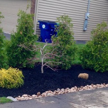 landscape design