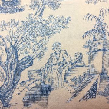 BLI-CV-TOILE-SMBLU