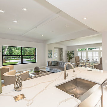 McClellan Park Contemporary