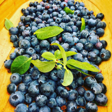 This is Homegrown.
