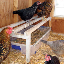 chicken coop