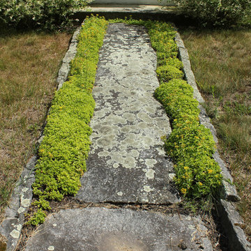 Rock Rich- Lichen and sedum line the front walk