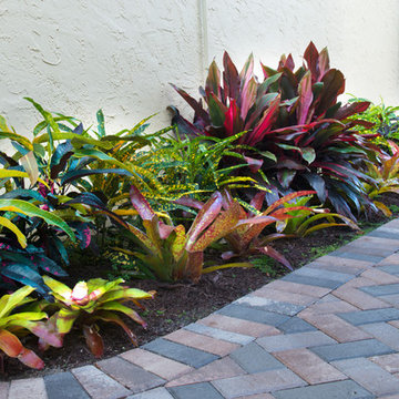 Colorful Planter