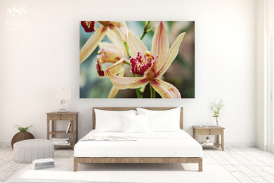 Warm Cymbidium Orchid Flowers Gallery Wrap Fine Art Canvas