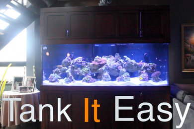 Fish Tank is High End Apartment