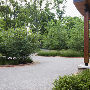 This is an example of a contemporary front yard driveway in Chicago.