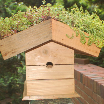 Birdhouses